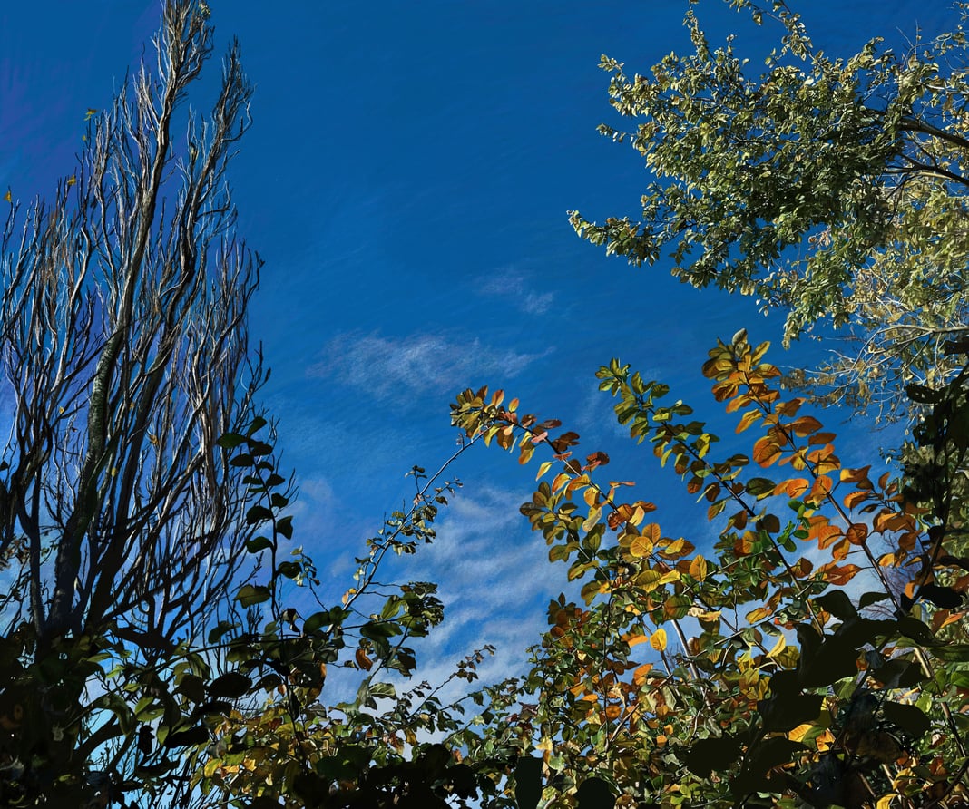 Slideshow image 5