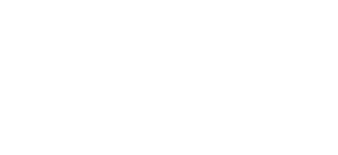 The New York Rock