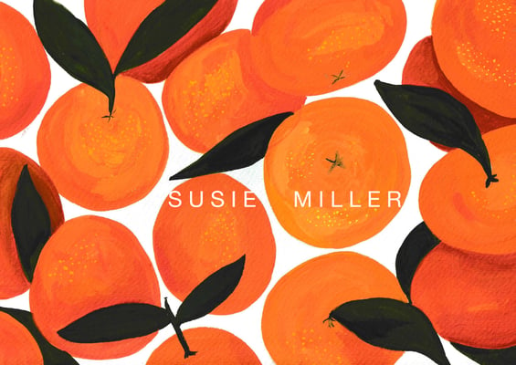 susie miller Home