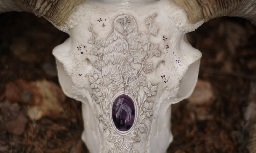 Slideshow image 7