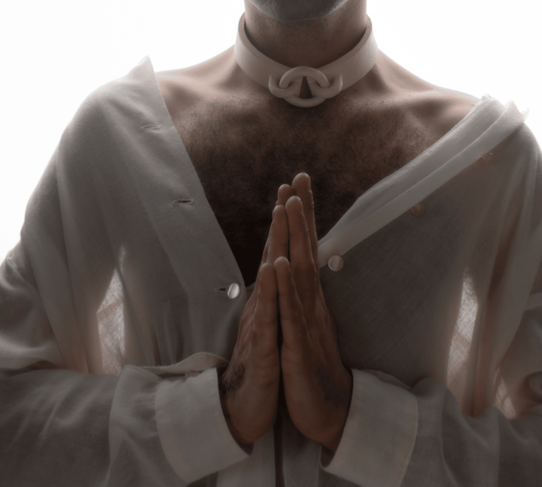 Welcome to Maitre des chattes