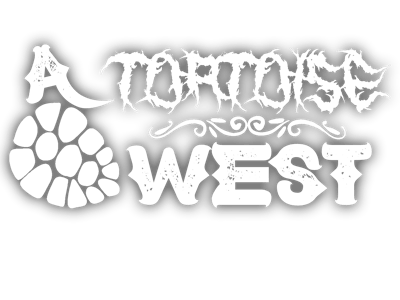 A Tortoise West Home