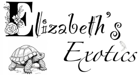 Elizabeth’s Exotics  Home