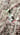 Lookbook image 2