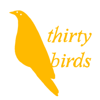 thirtybirds