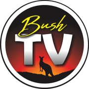 Bush Tv  Home