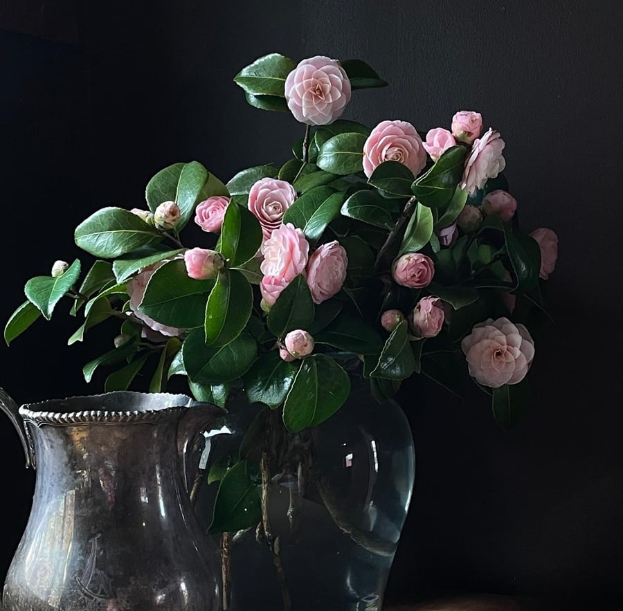 Slideshow image 4