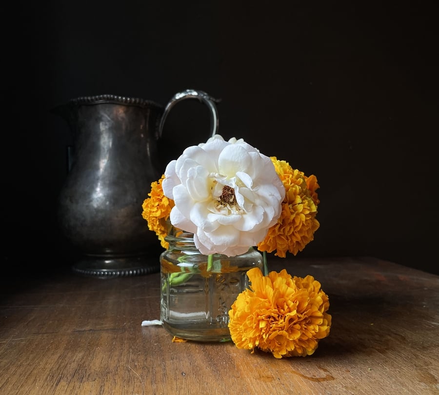 Slideshow image 5