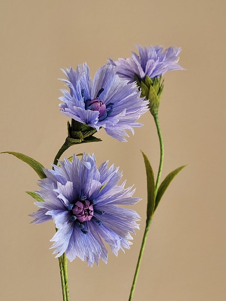Slideshow image 3