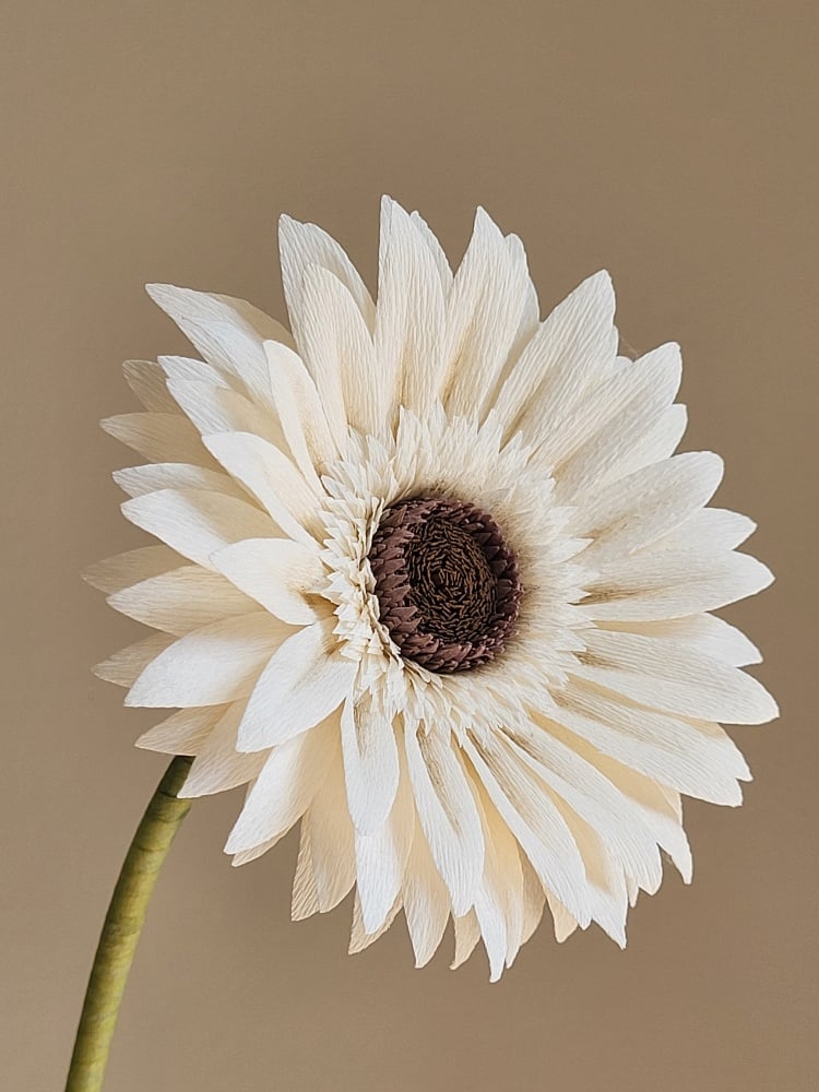 Slideshow image 4