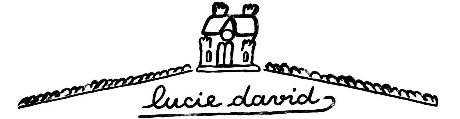 Lucie David Home