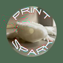 Print Spark Home