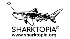 Sharktopia Home