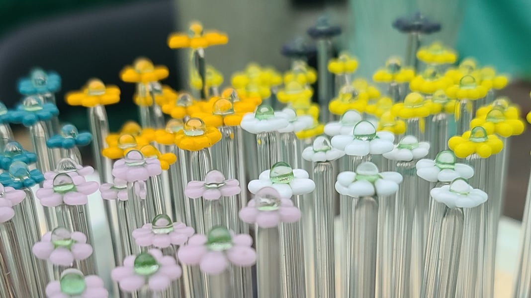Slideshow image 15