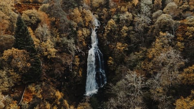 Slideshow image 2