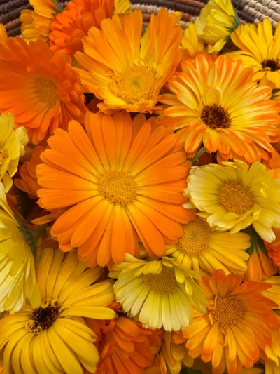 Slideshow image 2