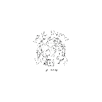 yvs.wrld Home