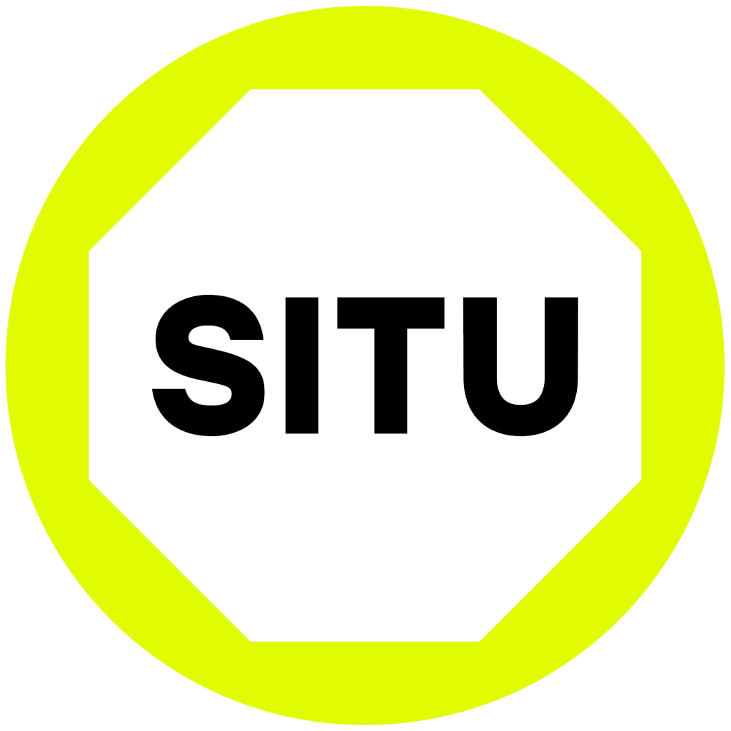 SITU-objects