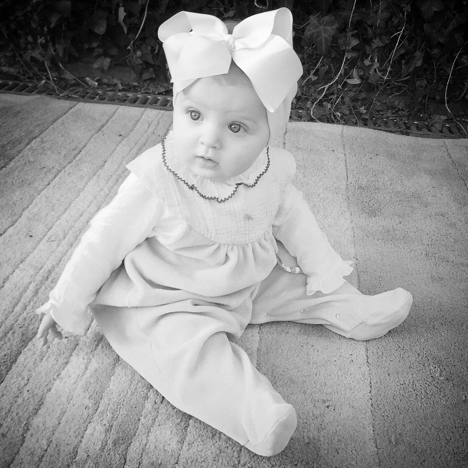 champagne flute baby bottle