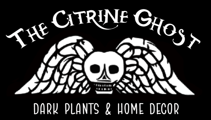 The Citrine Ghost Home