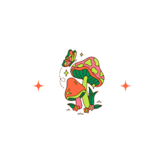 Pashminas R Us Home