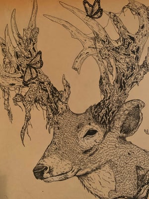 Consciousmoss