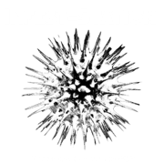 Infeststation  Home