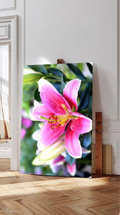 Slideshow image 12