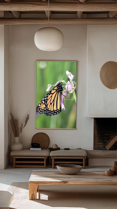 Slideshow image 14