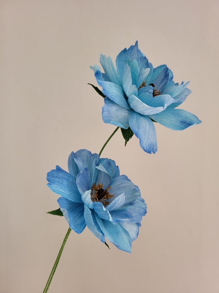 Slideshow image 6