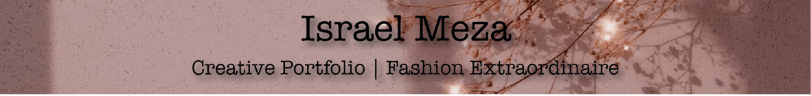 Israel Meza Fashion Home