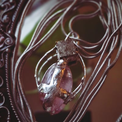 Slideshow image 7