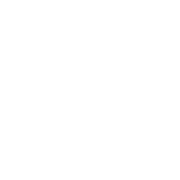 Disturbed Berlin merch Home