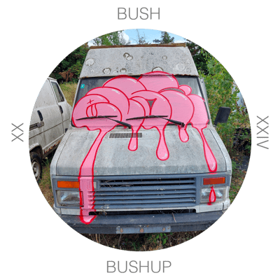 BUSH Home