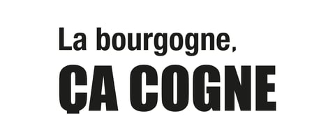 La Bourgogne Ça Cogne Home