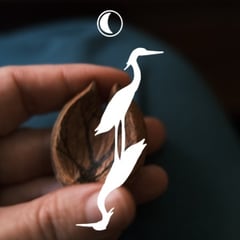 leighannanewell Home