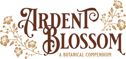 Ardent Blossom: A Dragon Age Flower Zine Home