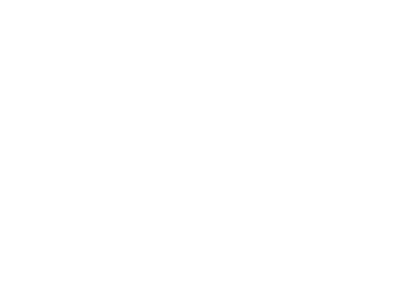 Zippy Art Home