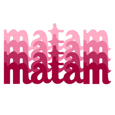 maison matam