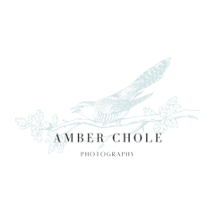 Amber Chole Photography Home
