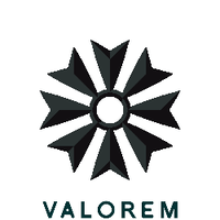 Valorem Inc Home