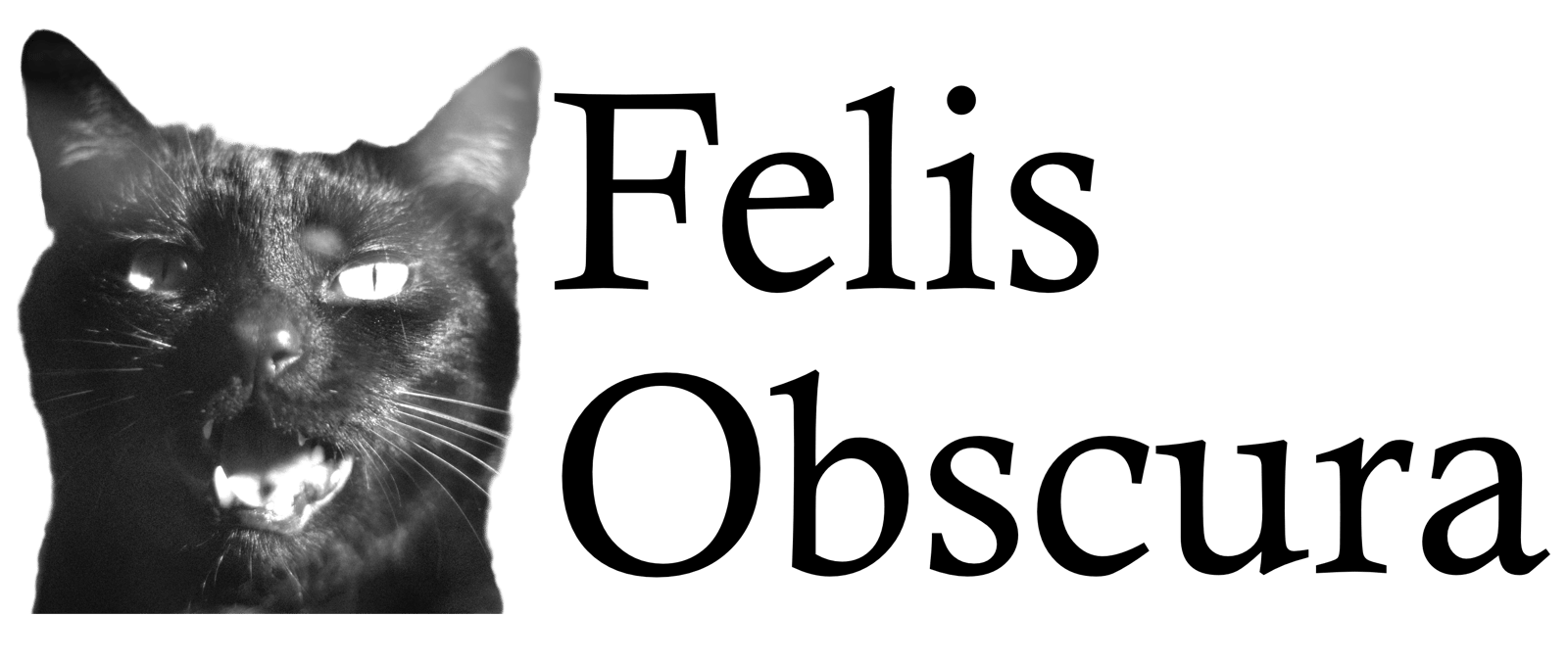 Felis Obscura 