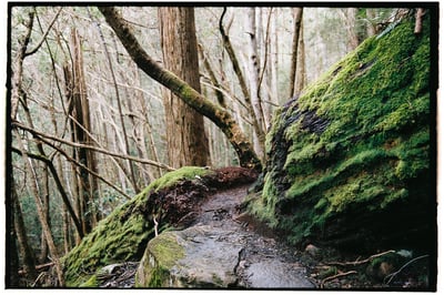 Slideshow image 3