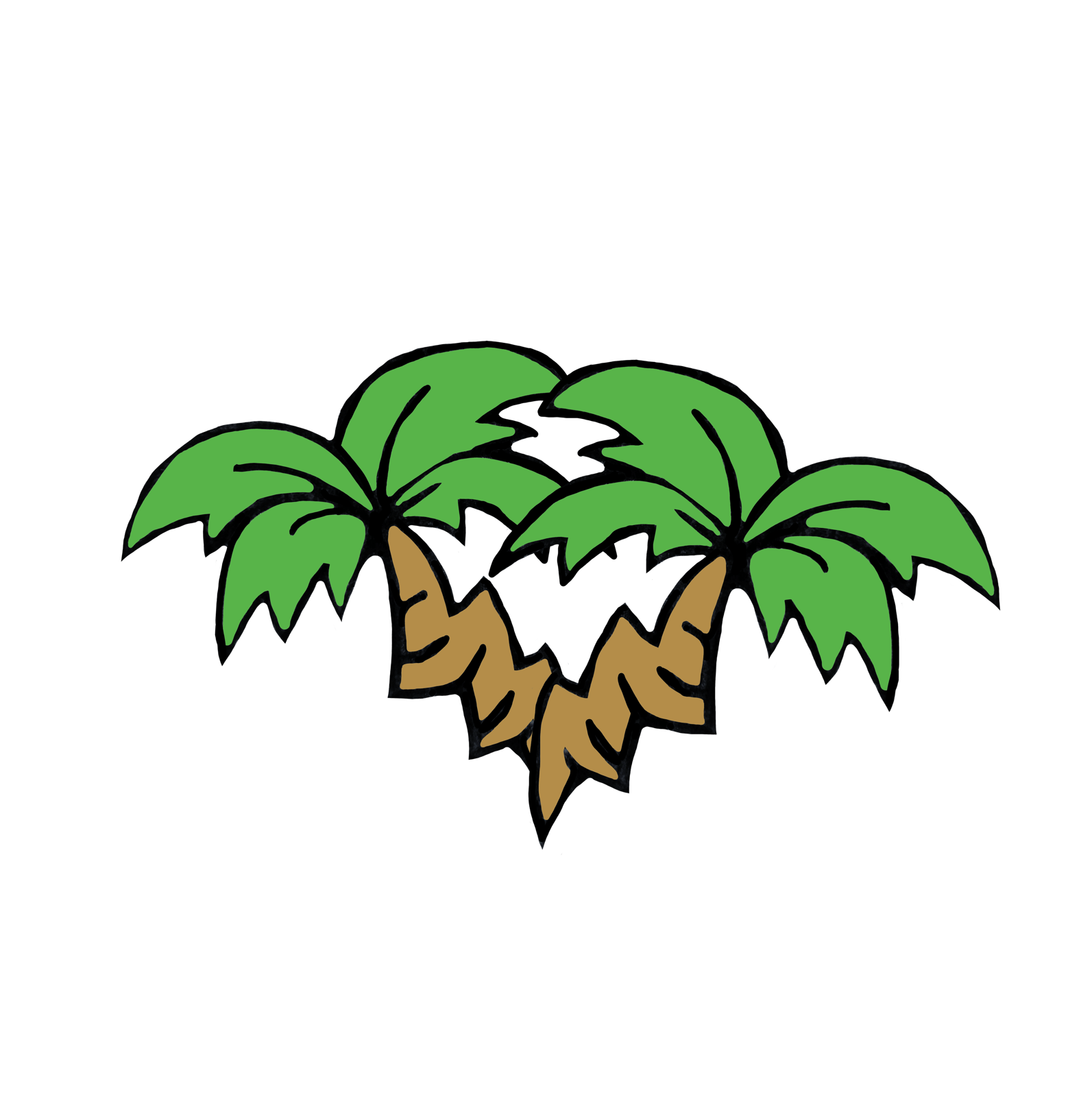 CrookedPalms