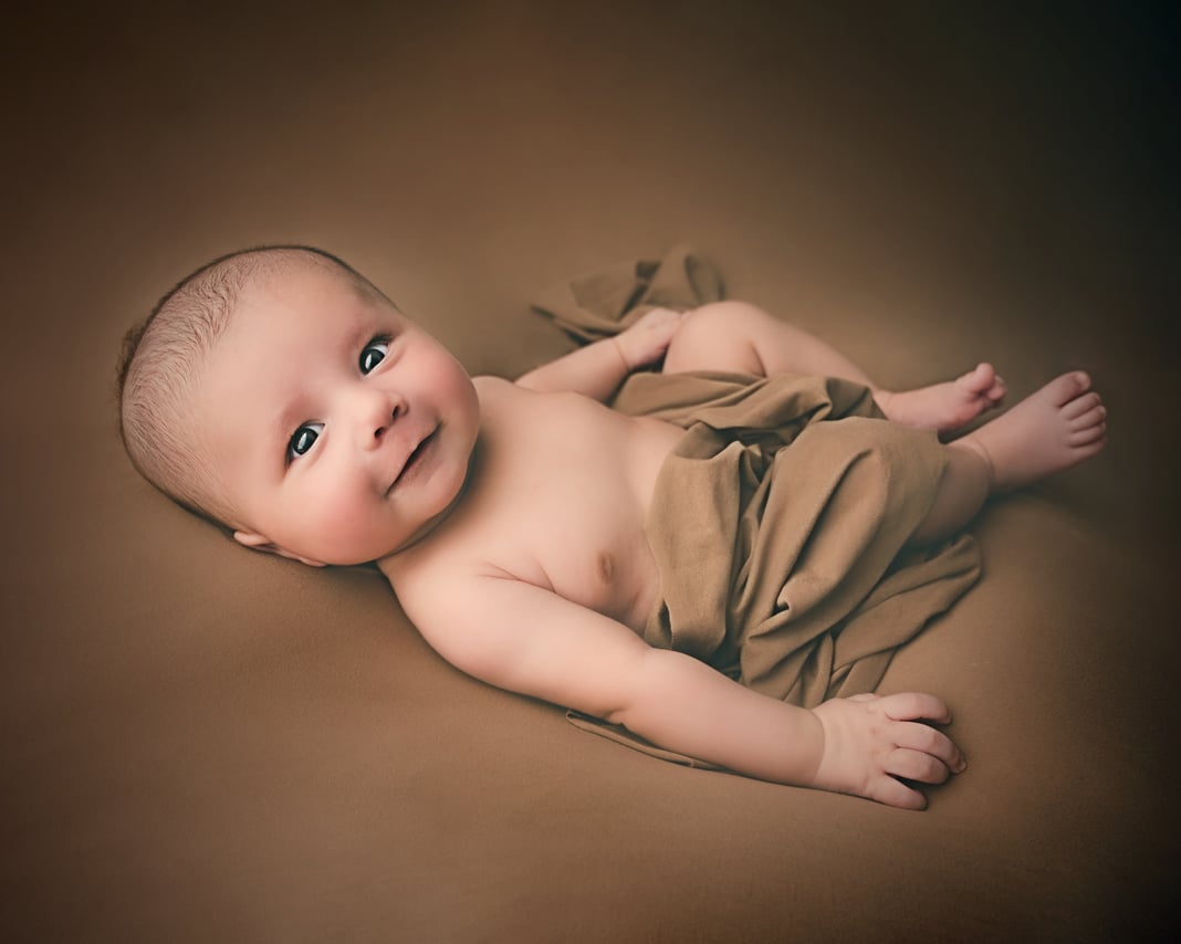 Slideshow image 4