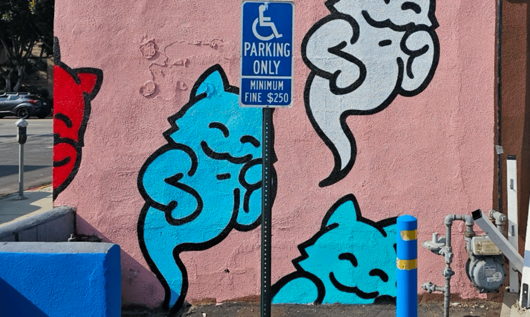 Slideshow image 3