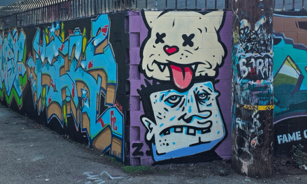 Slideshow image 6