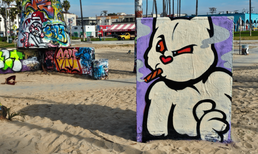 Slideshow image 8