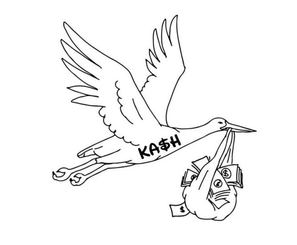 Kashmirthebrand