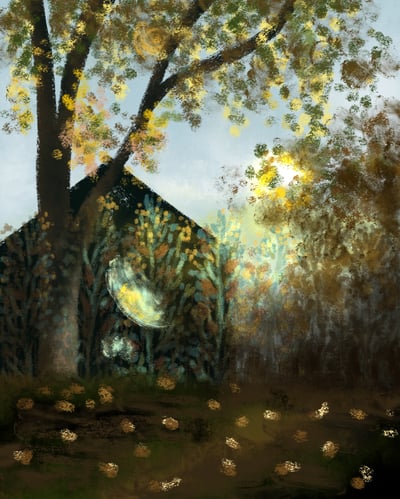 Slideshow image 4